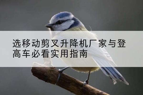 遂川电动升降机厂家-选移动剪叉升降机厂家与登高车必看实用指南