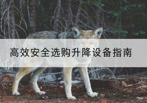 遂川升降货梯厂家推荐-*安全选购升降设备指南