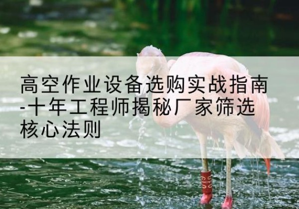 遂川剪叉式升降机厂家-高空作业设备选购实战指南-十年工程师揭秘厂家筛选核心法则